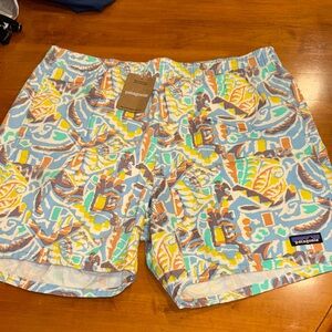 Patagonia men’s shorts